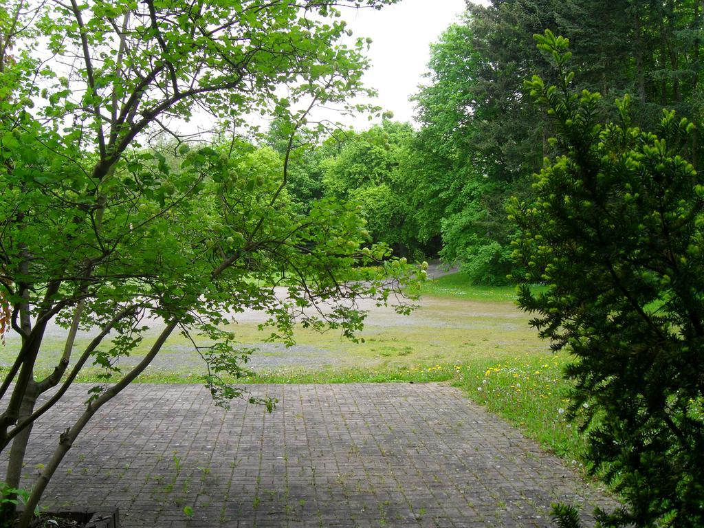 Motel Zur Festwiese Gierstädt 외부 사진